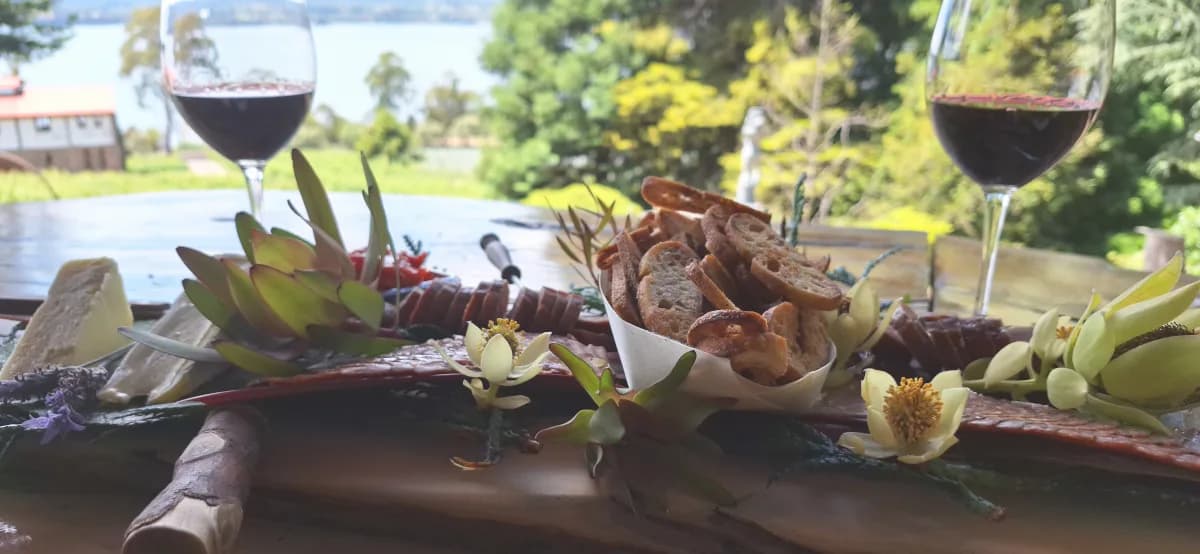 Tamar Wine - Tours & Accommodation