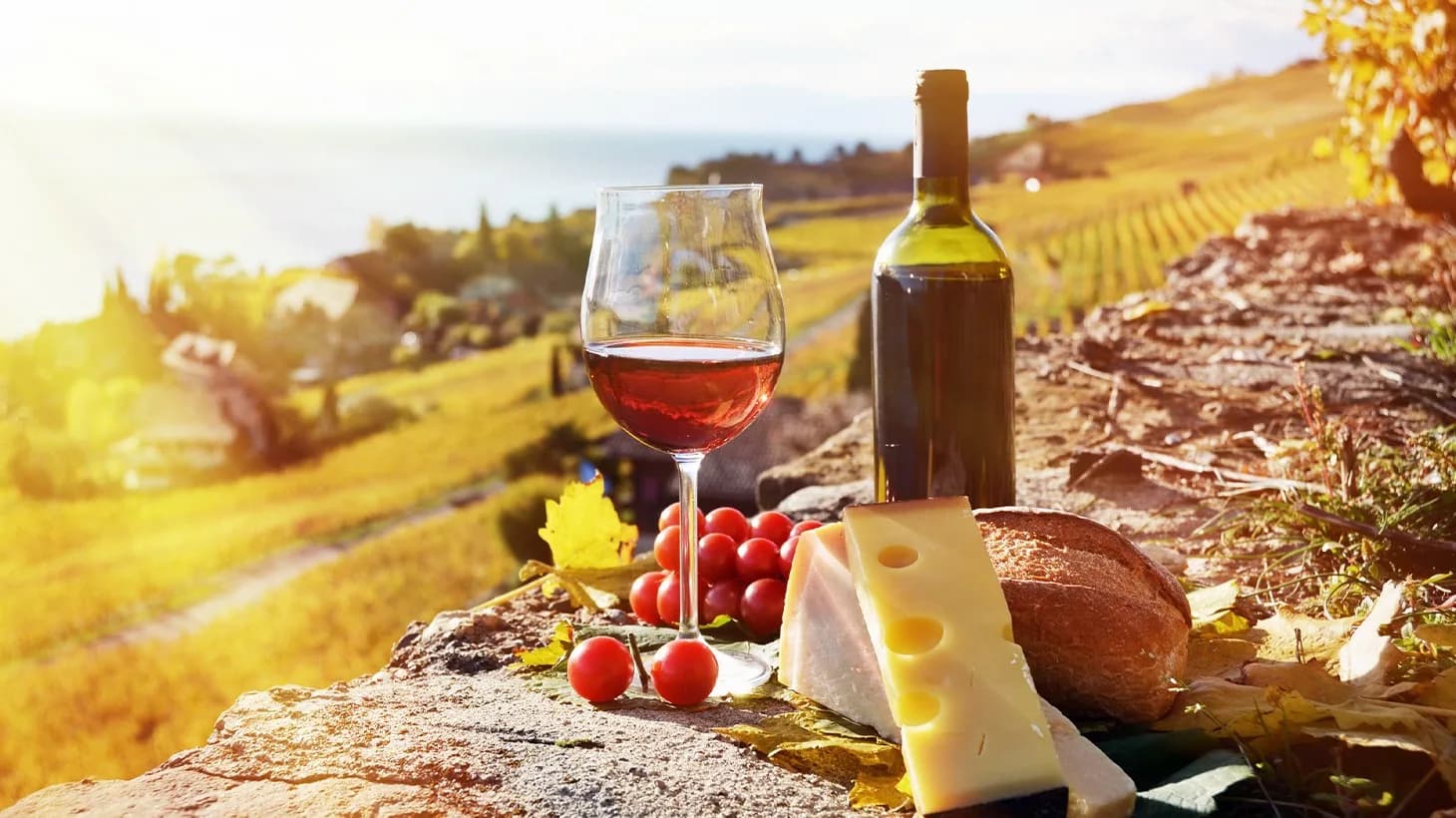 Barossa Wine Tours
