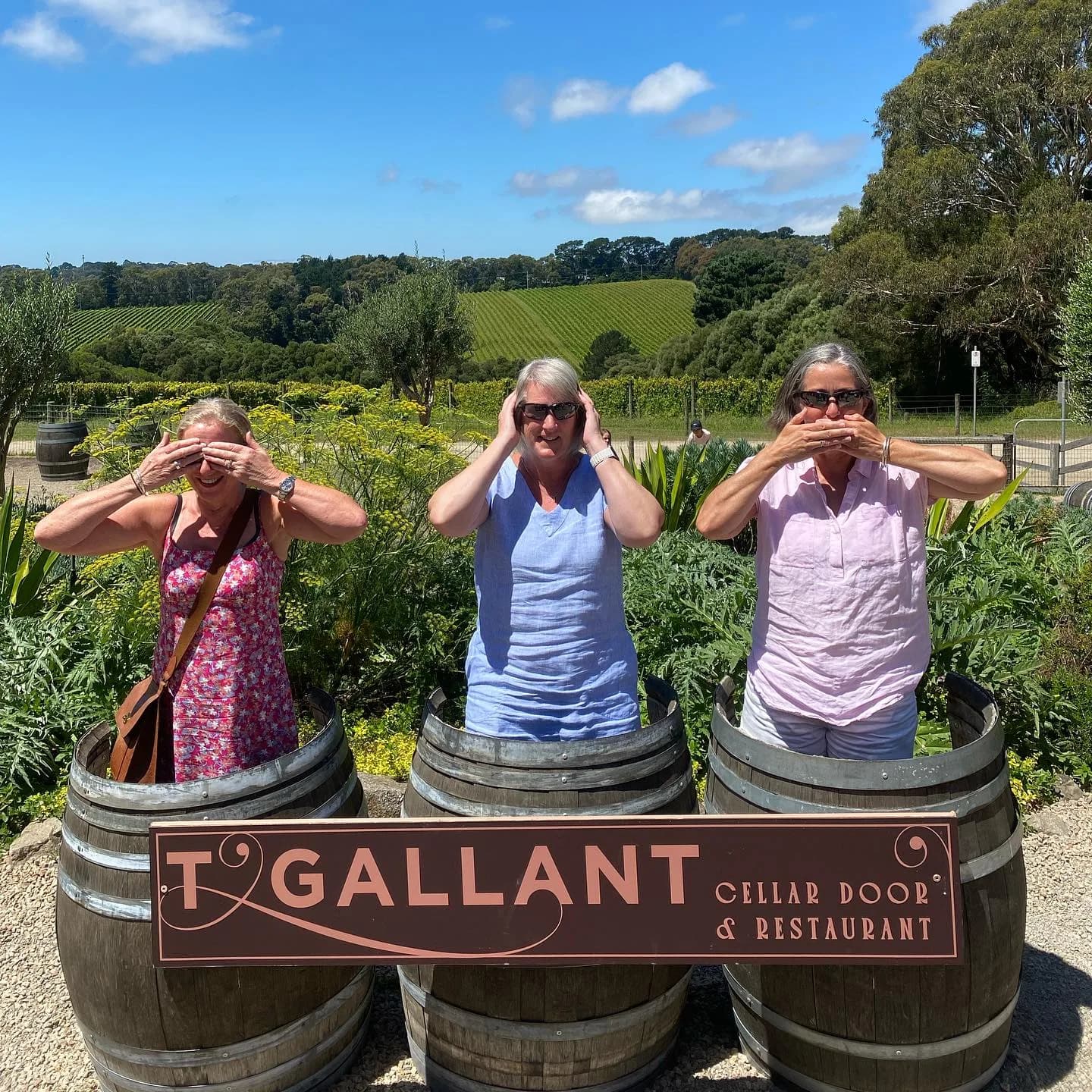 For the Love of Grape Wine Tours