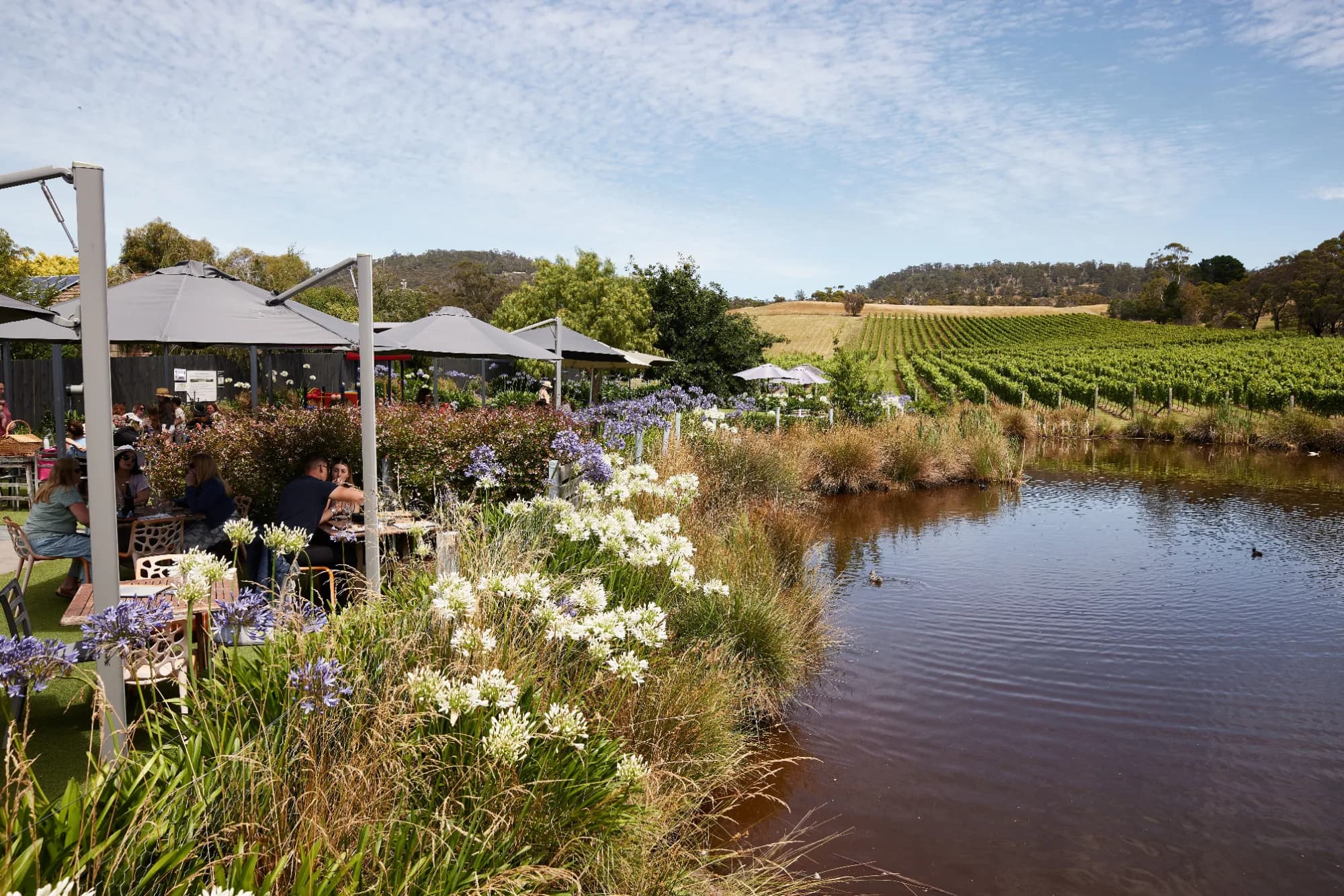 Boutique Wine Tours Tasmania