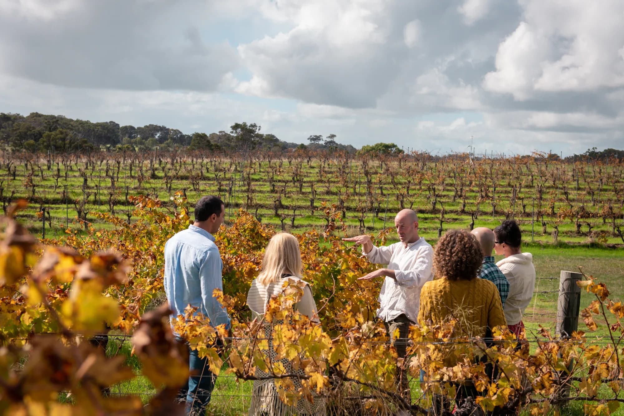 All About Margaret River